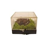 Hemimorphite Mineral 01 Red Crystal Healing Cluster Moss Box Specimen