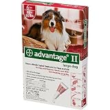 Bayer Advantage II Red 6-Month Flea Control for Dogs 21-55 lbs. Bayer Advantage II Red 6-Month Flea Control for Dogs 21-55 lbs.