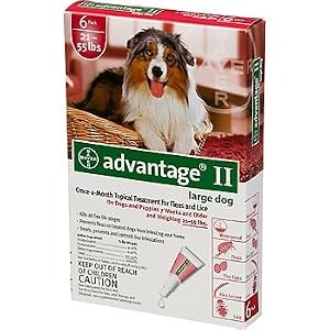 Click here to buy Advantage Flea Treatment from Amazon