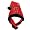 Wisconsin Badgers