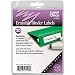 Erasable Binder Labels Refill, 20 labels