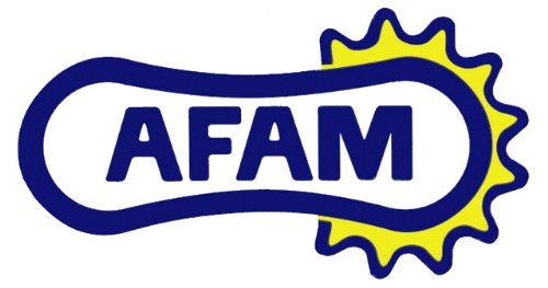 AFAM Kette / Antriebskette M Teilung-420,