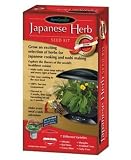 AeroGarden Seed Kit