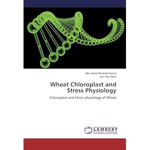 Wheat Physiology