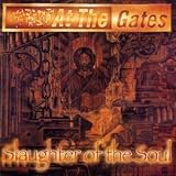 Slaughter of the Soul [Vinyl]