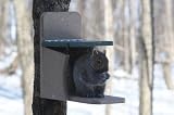Recycled Squirrel Feeder Munch Box