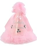 Sophias Style Baby Girl Accessory PINK PRINCESS BIRTHDAY PARTY HAT $29