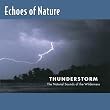 Echoes of Nature: Thunderstorm