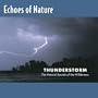 Echoes of Nature: Thunderstorm
