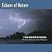 Echoes of Nature: Thunderstorm