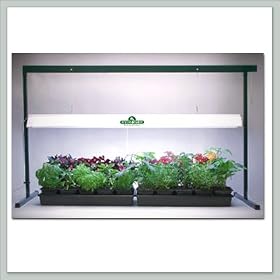 Bonsai Tree Grow Light System - 4 Feet Tall
