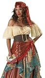 Womens Gypsy Fortune Teller Adult Halloween Costume