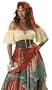 Gypsy Fortune Teller Adult Halloween Costume Womens U.S. Plus Size 3X