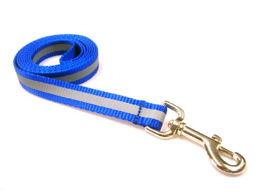 Large Reflective Blue Dog Leash - Nylon Webbing: 3/4