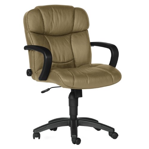 Mid Back Leather Chair
