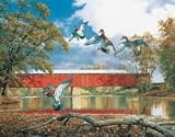 White Mountain Puzzles Wood Ducks 1000 Piece Jigsaw Puzzle - B000BXK088