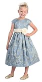 New Metallic Ribbon Embroidered Dress ~ Blue or Light Pink ~ 2 to 12 Girls