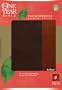 The One Year Bible Premium Slimline LP NLT, 10th Anniversary edition, TuTone