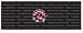 Toronto Raptors Team Auto Rear Window Decal