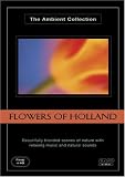 Flowers of Holland