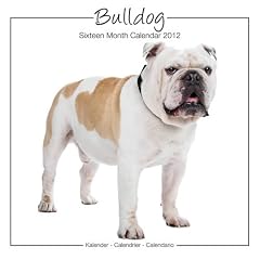 Kalender 2012 Bulldog - Studio