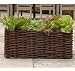 Image of salad garden planting bag with natural willow surround - 62 L - great for people who want to grow their own vegetables
