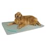 Cool Bed III - Large Cooling, Cushioning Waterbed for your Dog
