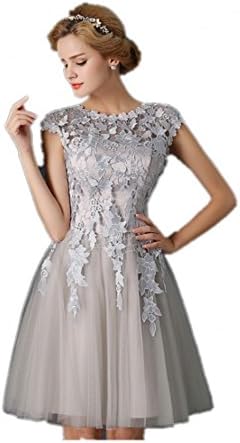 Aegeanbridal Cup Sleeve Lace-up Back Natural Waist and Bust Homecoming Dress Tulle Dress (US10, Silver)