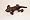 5.8" Holiday Inn Bean Bag Brown Lizzard