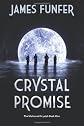 Crystal Promise: The Shattered Crystal: Book 1