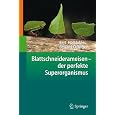 Produkt-Information 