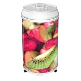 Review The Coola Can  / Coola Can Fruit Salad Mobile Refrigerator