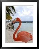 Pink Flamingo on Renaissance Island, Aruba, Caribbean Photography Framed Art Poster Print by Lisa Engelbrecht, 25x31