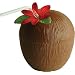 Plastic Coconut Cup (with lid and straw) - With Flower