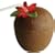 Plastic Coconut Cup (with lid and straw) - With Flower