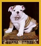 Bulldog Puppy Bookmark