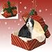 BEARDED COLLIE Dog sits in a RED Gift Box Christmas Ornament New RGBD95