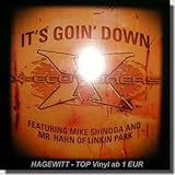 Its Goin Down [12" VINYL]