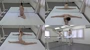 Professional  NUDE  Vol.1 Ballerina [DVD]