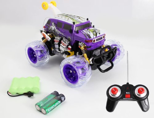 1:20 (Purple) Scale Full GREAT QUALITY