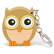 Sakar Sweet Gizmos Owl 2GB USB Flash Drive - Sakar GZ1001
