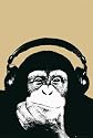 Steez - Lounge, Monkee Poster (91 x 61cm)