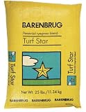 Barenbrug Usa TS25ACE00 Turf-star Perennial Rye Grass Seed # 25