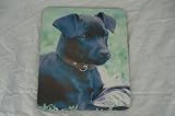 PATTERDALE TERRIER BLACK DOG MOUSE MAT PAD