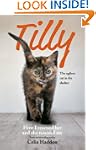 Tilly, The Ugliest Cat in the Shelter...