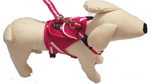 Lovebledog Dog Sport Back Pack with Lead, Hot Pink