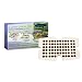 Outdoor Living : AeroGrow AeroGarden 0019-00Z Garden Starter Tray