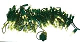 100 Clear Miniature Christmas Light Set
