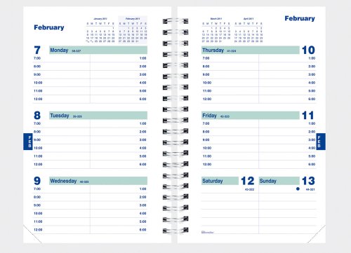 Brownline 2010-2011 Weekly Academic Planner, July-July, Poly Cover, Bluff, 8 x 5 Inches , Styles may vary