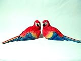 Handpainted Red Parrot Figurine 6